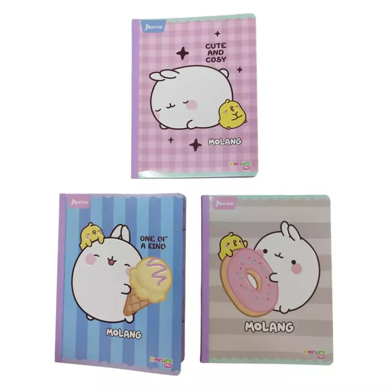 Cuaderno Cosido Norma Xpresarte Pro 100h | CD 01021