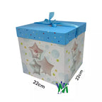 Caja de Regalo Mediana | CD 4553