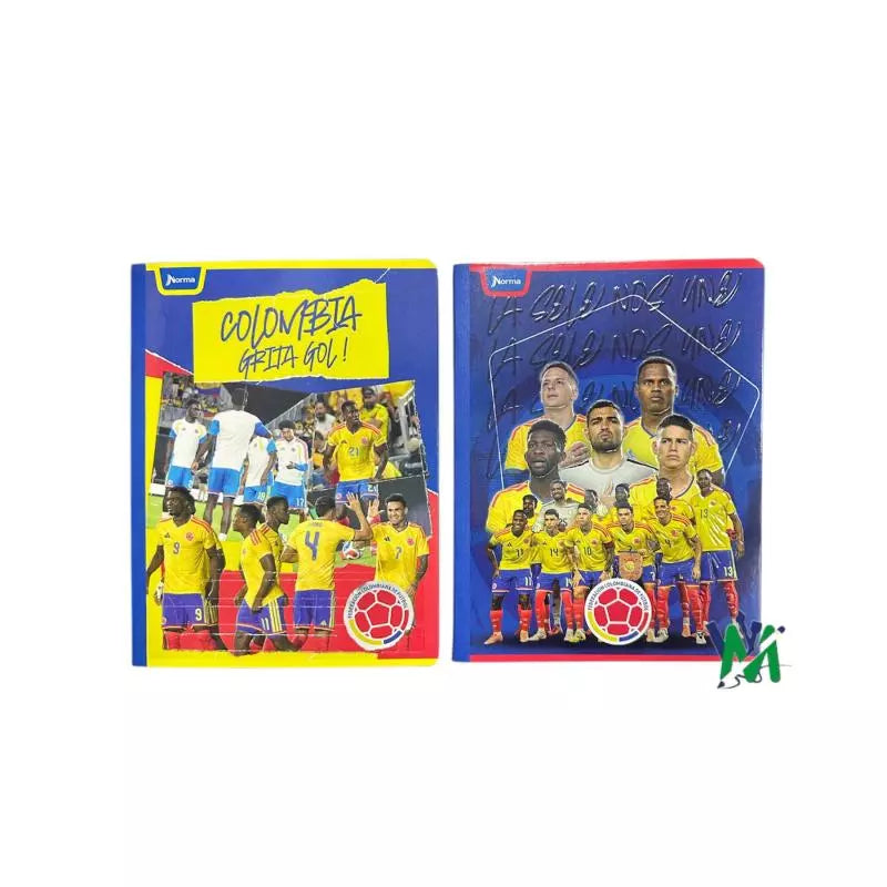 Cuaderno Cosido Norma Xpresarte Pro 100h | CD 01021