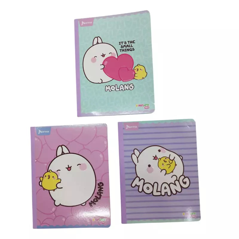 Cuaderno Cosido Norma Xpresarte Pro 100h | CD 01021