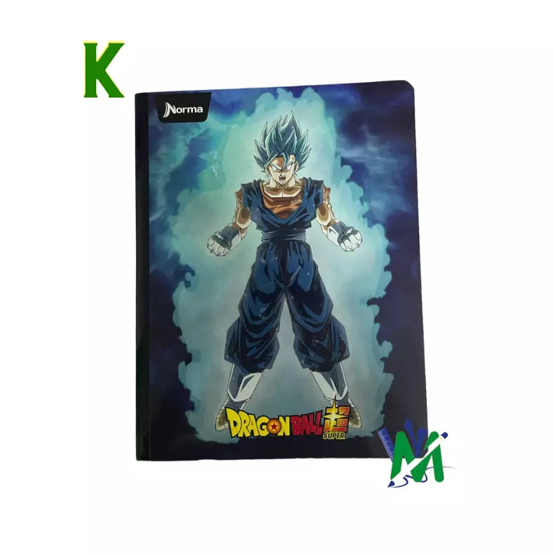 Cuaderno Cosido Norma Gama Alta 100h | CD 010002