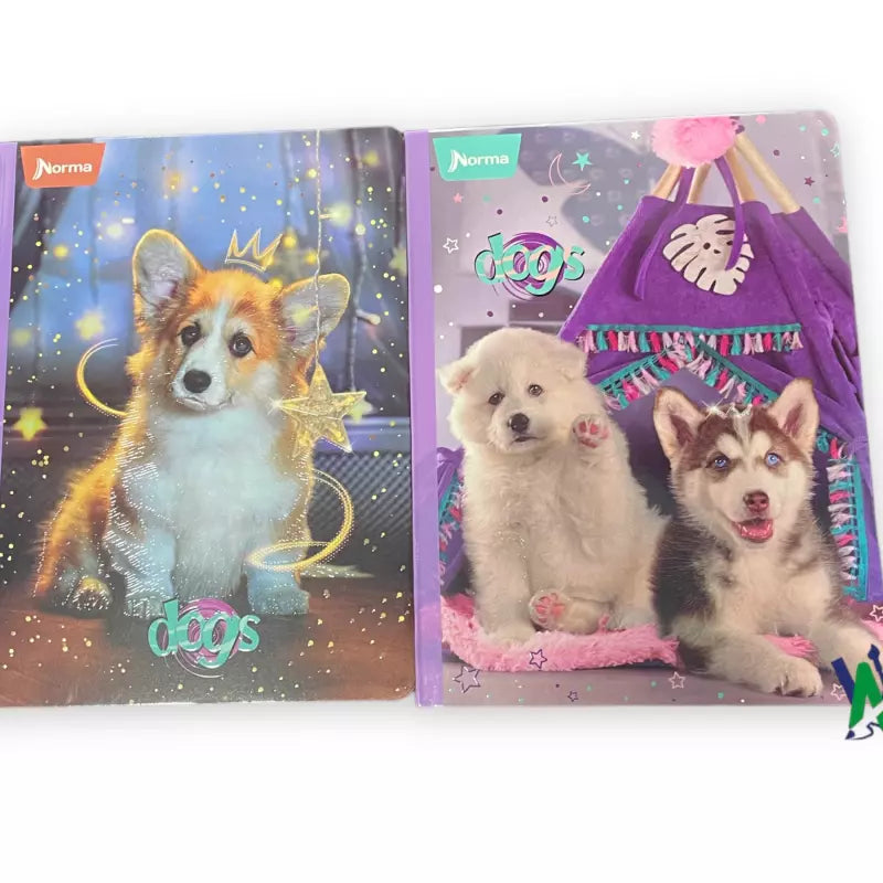 Cuaderno Cosido Norma Gama Alta 100h | CD 010002