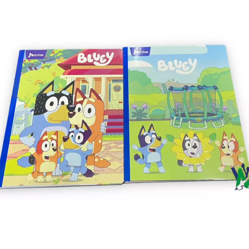 Cuaderno Cosido Norma Gama Alta 100h | CD 010002