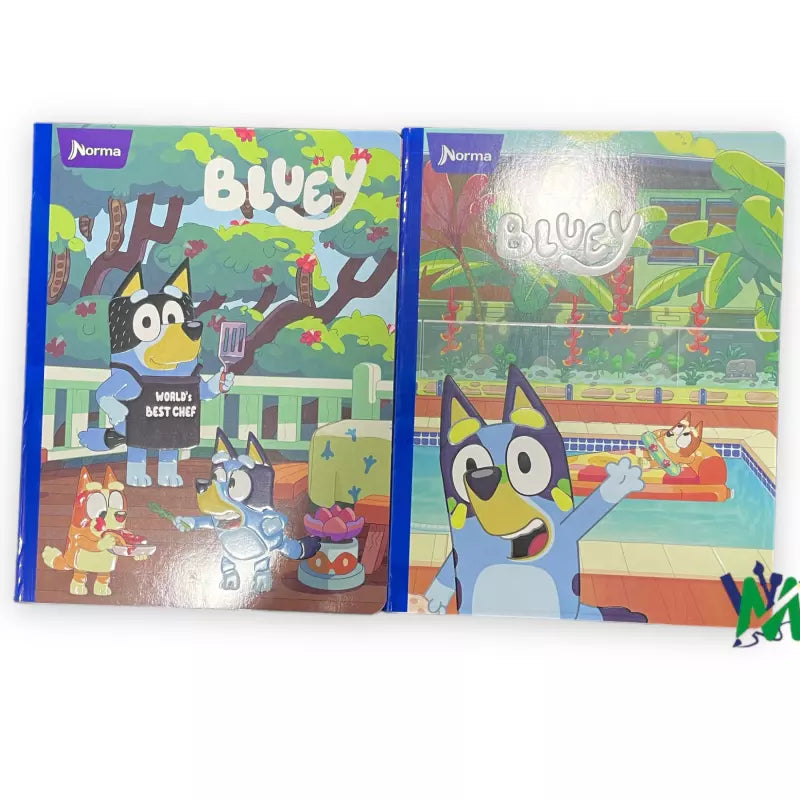 Cuaderno Cosido Norma Gama Alta 100h | CD 010002