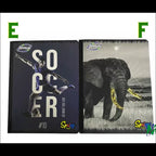 Cuaderno Cosido Zeppelin Spring 50h | CD 052096