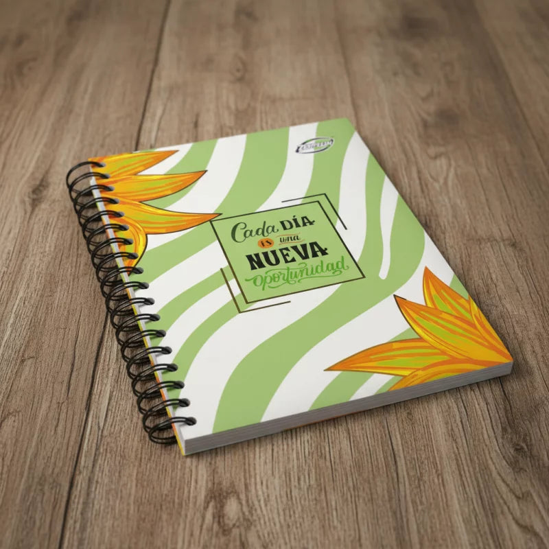 Agenda 5 Materias Pequeña 95 Zeppelin | CD 4779