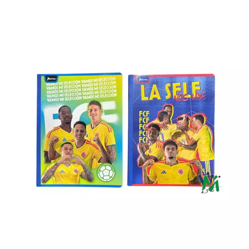 Cuaderno Cosido Norma Xpresarte Pro 100h | CD 01021