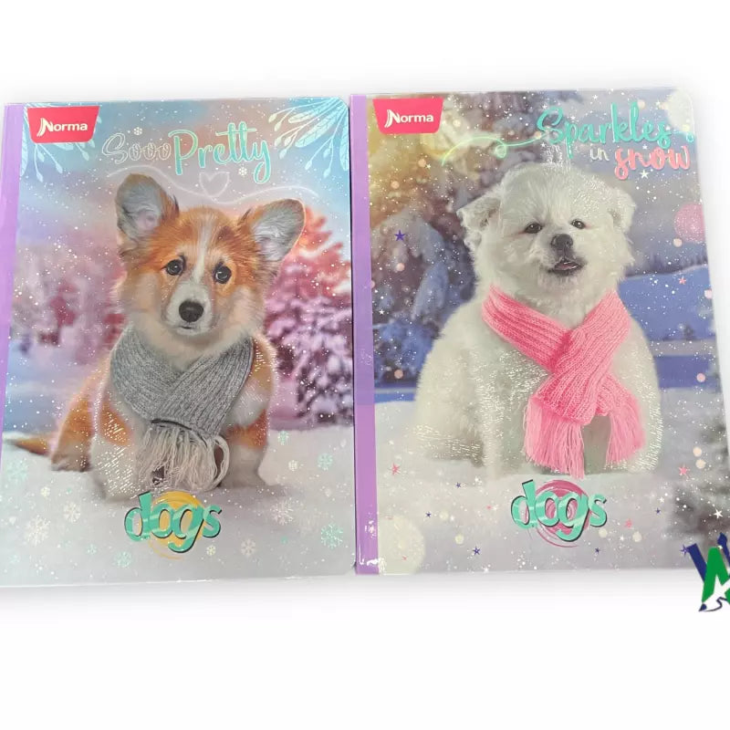 Cuaderno Cosido Norma Gama Alta 100h | CD 010002