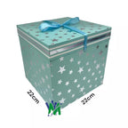 Caja de Regalo Mediana | CD 4553