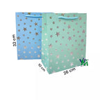 Bolsa de Regalo L Zeppelin | CD 4549